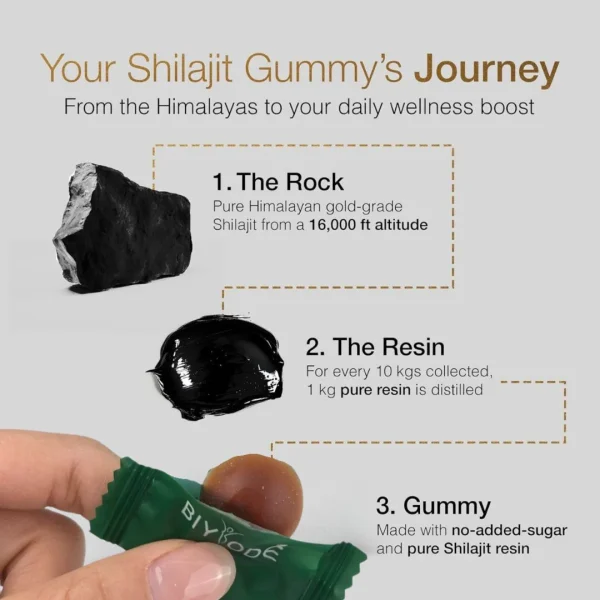 Himalayan Shilajit GOLD Energy Gummies | 60 Gummies - 60 Days supply - Image 4