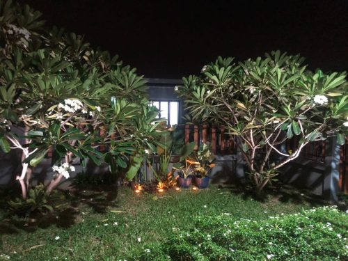 SolarGlow™ LED Outdoor Lights – Auto-On Waterproof Garden Lamps x 4 photo review